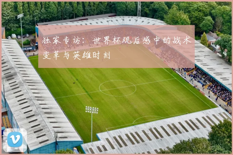 独家专访：世界杯观后感中的战术变革与英雄时刻