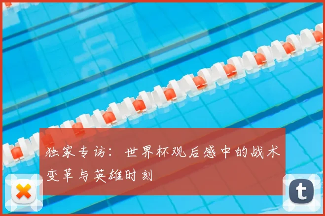 独家专访：世界杯观后感中的战术变革与英雄时刻