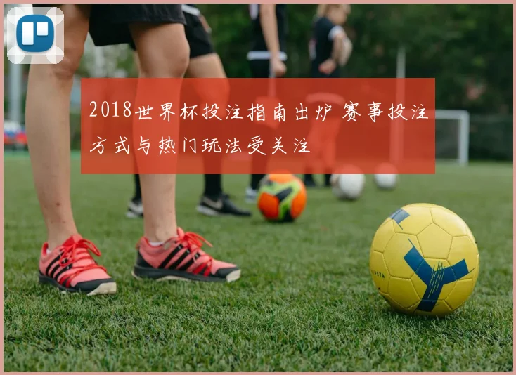 2018世界杯投注指南出炉 赛事投注方式与热门玩法受关注