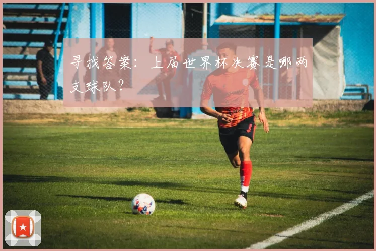 寻找答案：上届世界杯决赛是哪两支球队？