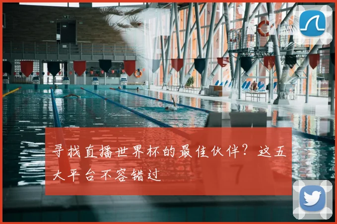 寻找直播世界杯的最佳伙伴？这五大平台不容错过