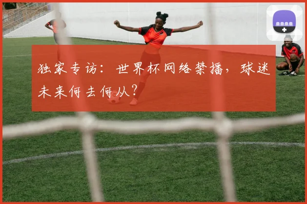 独家专访:世界杯网络禁播,球迷未来何去何从?