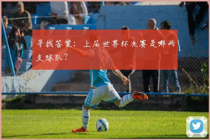 寻找答案:上届世界杯决赛是哪两支球队?