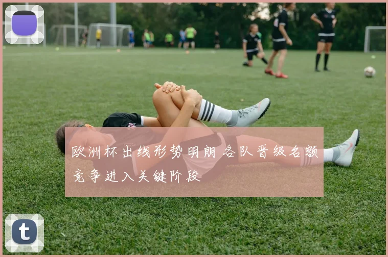 欧洲杯出线形势明朗 各队晋级名额竞争进入关键阶段