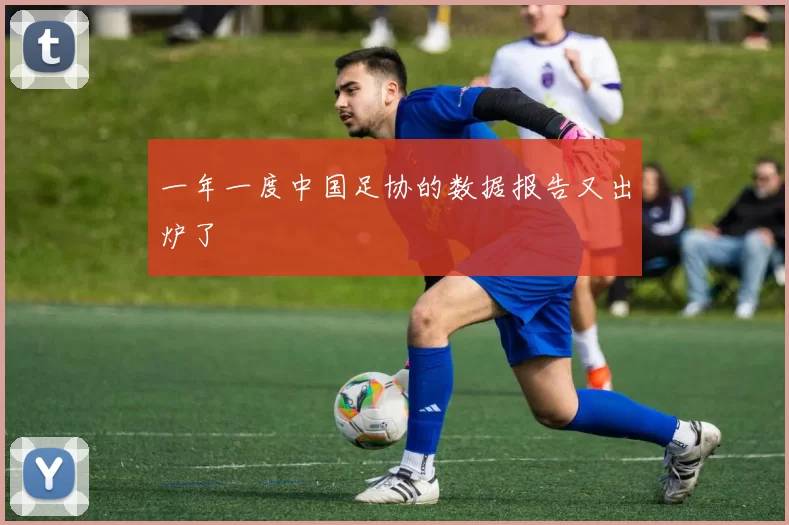一年一度中国足协的数据报告又出炉了