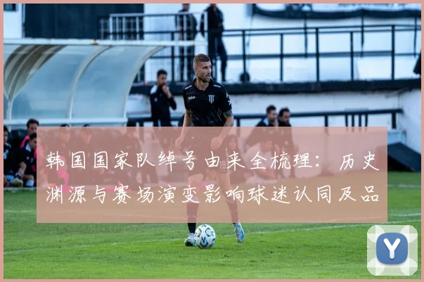 韩国国家队绰号由来全梳理：历史渊源与赛场演变影响球迷认同及品牌形象