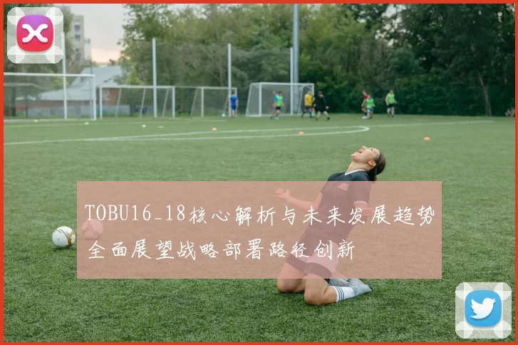TOBU16_18核心解析与未来发展趋势全面展望战略部署路径创新