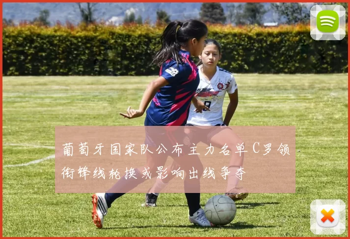 葡萄牙国家队公布主力名单 C罗领衔锋线轮换或影响出线争夺