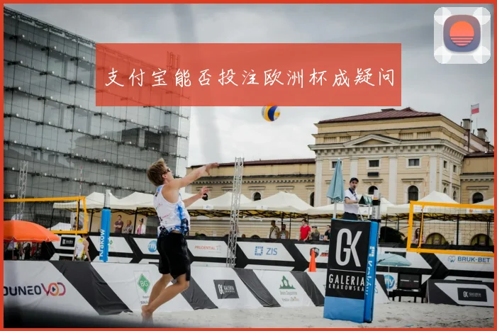 支付宝能否投注欧洲杯成疑问