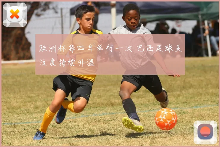 欧洲杯每四年举行一次 巴西足球关注度持续升温