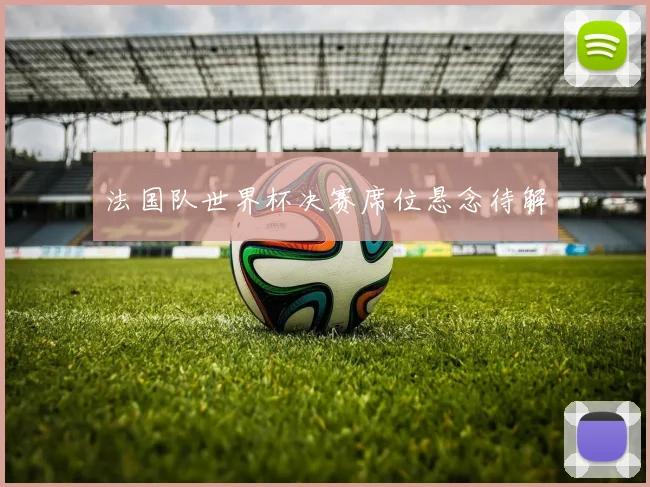 法国队世界杯决赛席位悬念待解