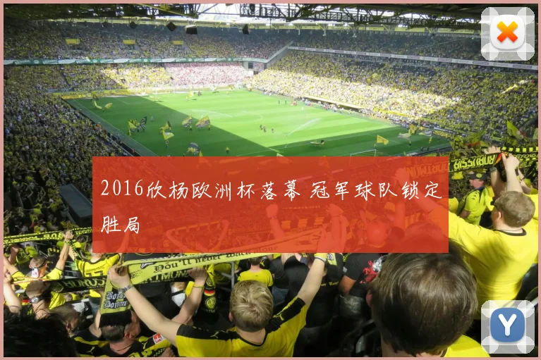 2016欣杨欧洲杯落幕 冠军球队锁定胜局