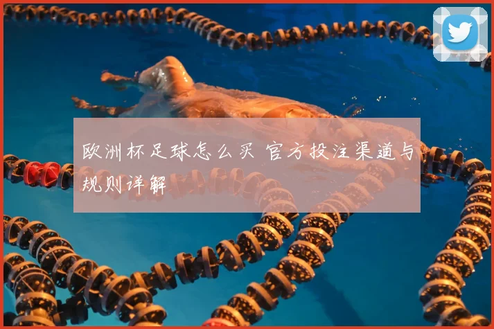 欧洲杯足球怎么买 官方投注渠道与规则详解