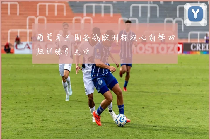 葡萄牙王国备战欧洲杯核心前锋回归训练引关注