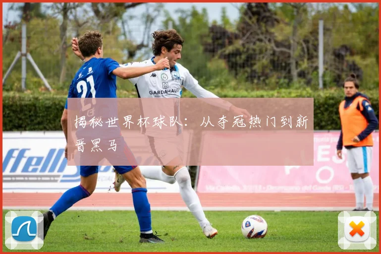 揭秘世界杯球队：从夺冠热门到新晋黑马