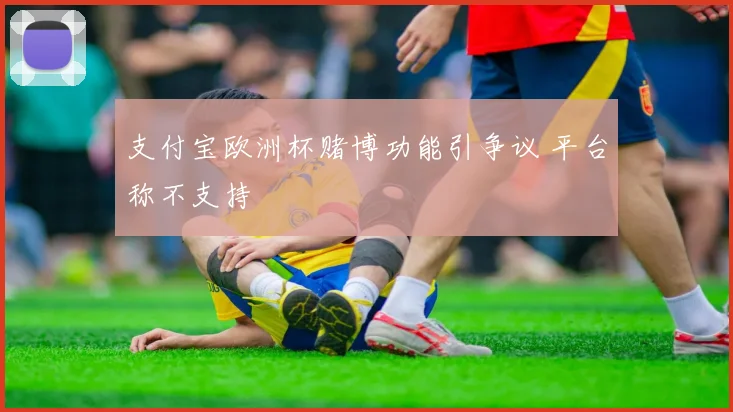 支付宝欧洲杯赌博功能引争议 平台称不支持