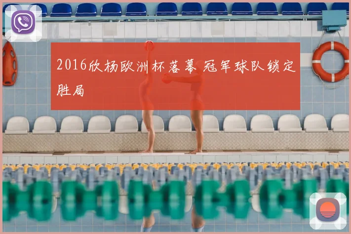 2016欣杨欧洲杯落幕 冠军球队锁定胜局